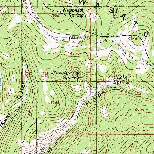 Topographic Map of Wheatgrass Spring, UT