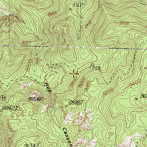 Topographic Map of Whipple Trail, UT