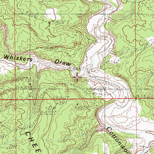 Topographic Map of Whiskers Draw, UT