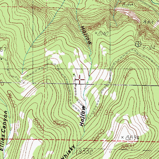 Topographic Map of Whiskey Hollow, UT
