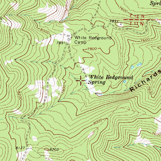 Topographic Map of White Bedground Spring, UT