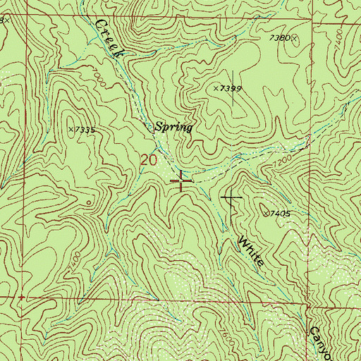 Topographic Map of White Canyon, UT