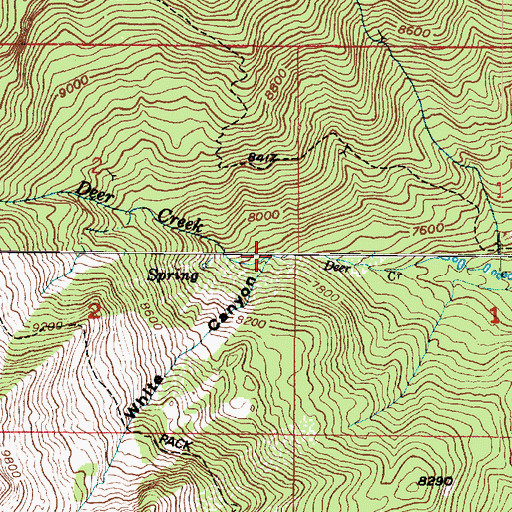 Topographic Map of White Canyon, UT
