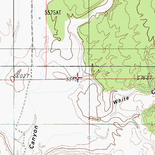 Topographic Map of White Canyon, UT