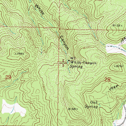 Topographic Map of White Canyon Spring, UT