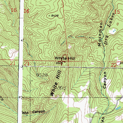 Topographic Map of White Hill, UT