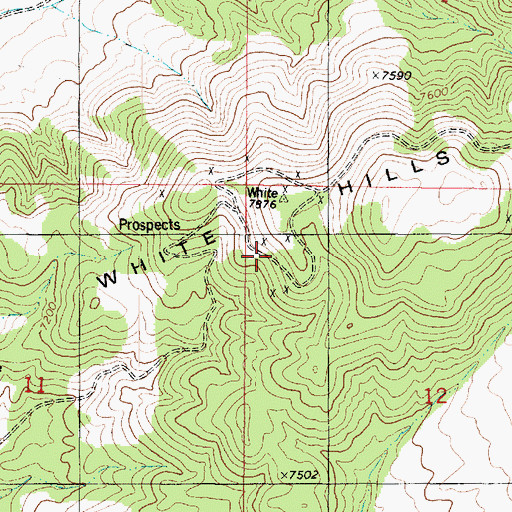 Topographic Map of White Hills, UT