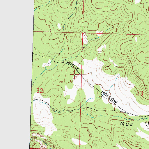 Topographic Map of White Hollow Pack Trail, UT