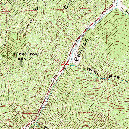 Topographic Map of White Pine Fork, UT