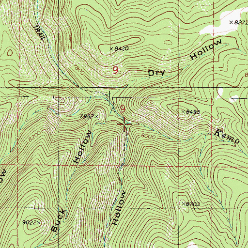 Topographic Map of White Pine Hollow, UT