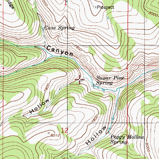 Topographic Map of White Pine Hollow, UT