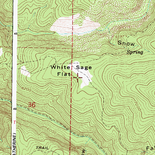 Topographic Map of White Sage Flat, UT