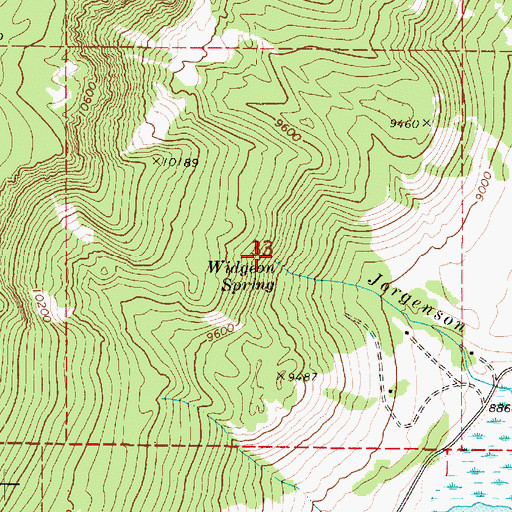 Topographic Map of Widgeon Spring, UT