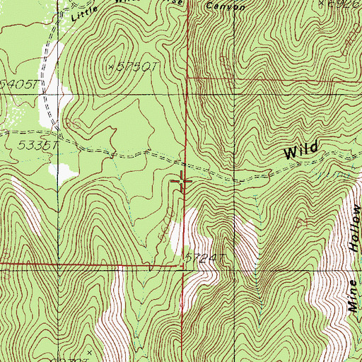 Topographic Map of Wild Horse Canyon, UT
