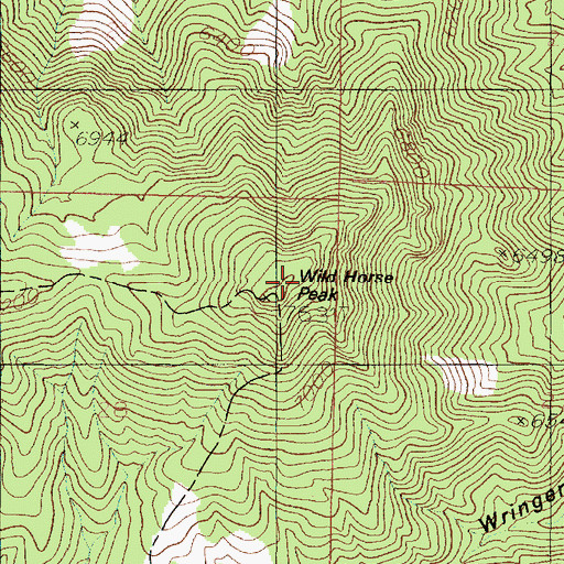 Topographic Map of Wild Horse Peak, UT
