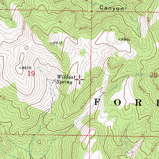 Topographic Map of Wildcat Spring, UT