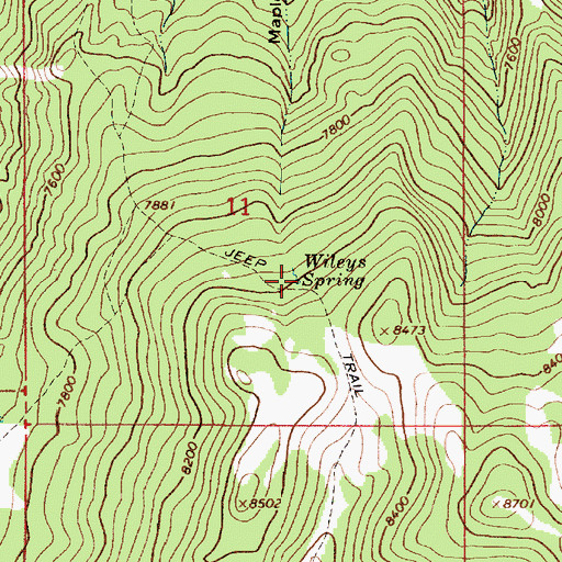Topographic Map of Wileys Spring, UT
