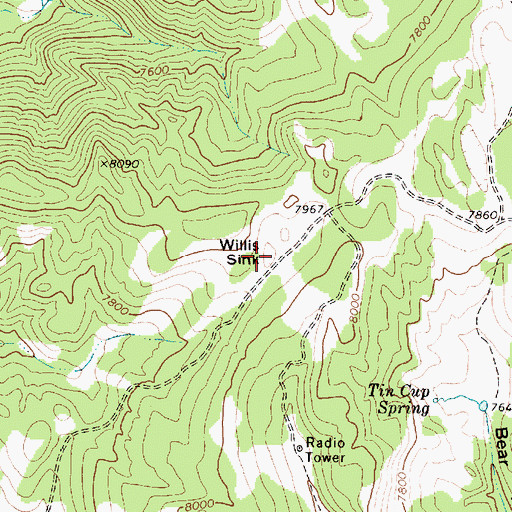 Topographic Map of Willis Sink, UT