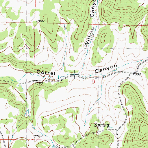 Topographic Map of Willow Canyon, UT