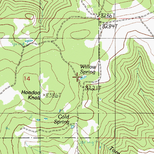 Topographic Map of Willow Spring, UT