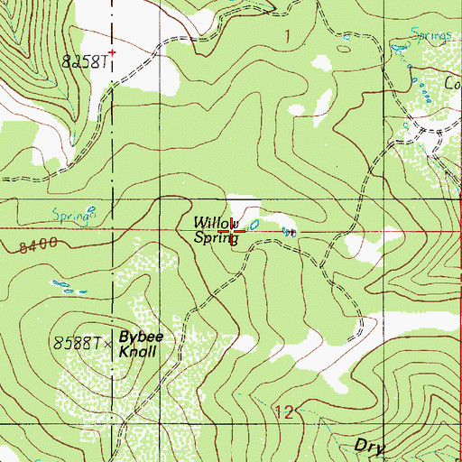 Topographic Map of Willow Spring, UT