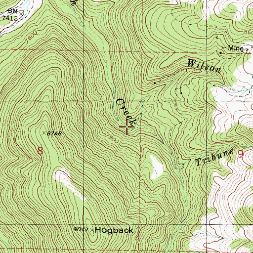 Topographic Map of Wilson Creek, UT