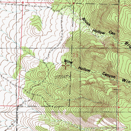 Topographic Map of Wine Hollow Canyon, UT
