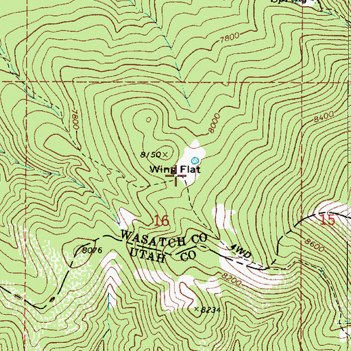 Topographic Map of Wing Flat, UT