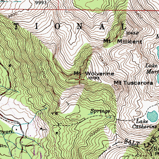 Topographic Map of Mount Wolverine, UT