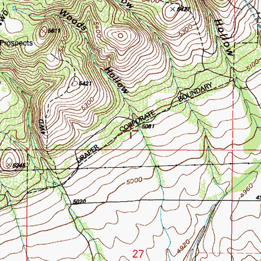 Topographic Map of Woods Hollow, UT