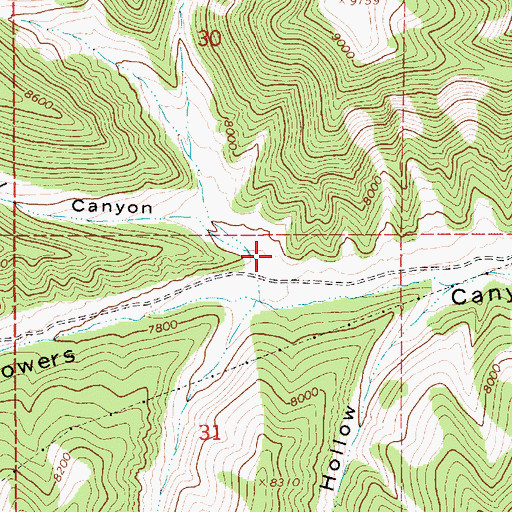 Topographic Map of Y Canyon, UT