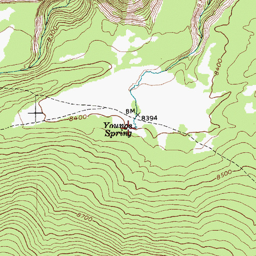 Topographic Map of Youngs Spring, UT