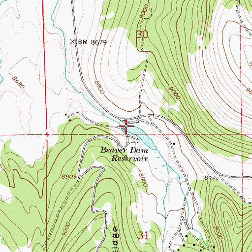 Topographic Map of Beaver Dam, UT