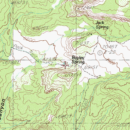 Topographic Map of Bayles Spring, UT