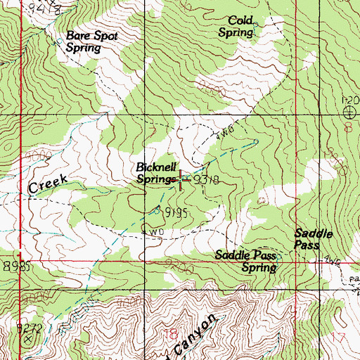 Topographic Map of Bicknell Springs, UT
