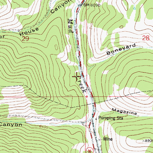 Topographic Map of Boneyard Canyon, UT