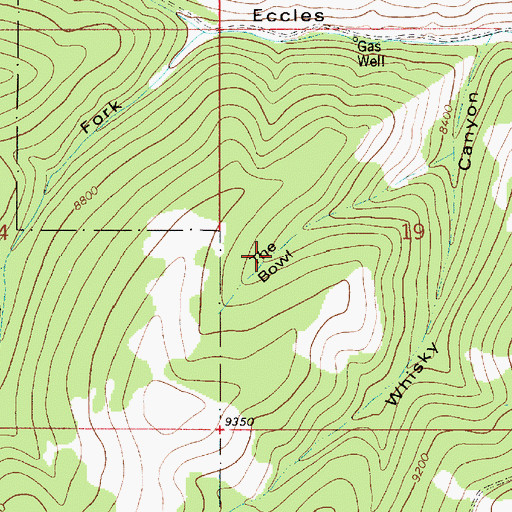 Topographic Map of The Bowl, UT