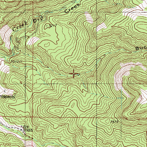 Topographic Map of Buck Hollow, UT