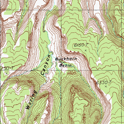 Topographic Map of Buckhorn Basin, UT