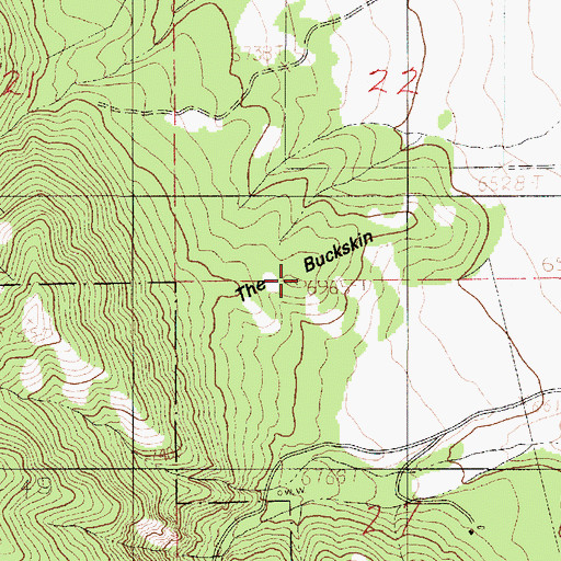Topographic Map of The Buckskin, UT