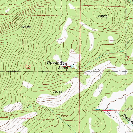 Topographic Map of Burnt Tree Pond, UT