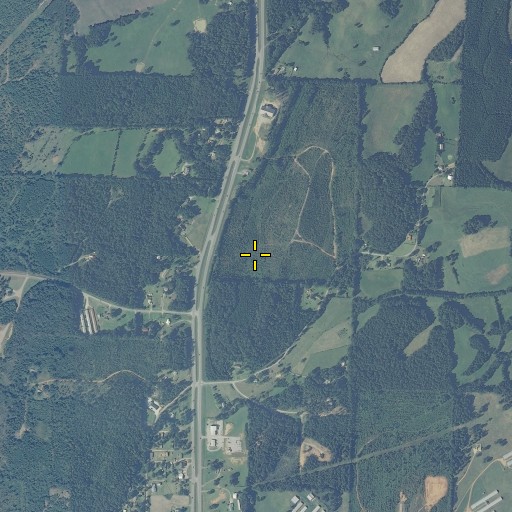 Aerial/Satellite Image of Flynns Spring, AL