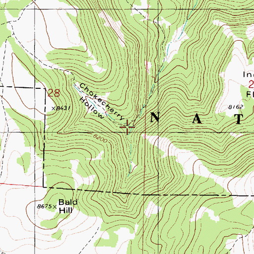 Topographic Map of Chokecherry Hollow, UT