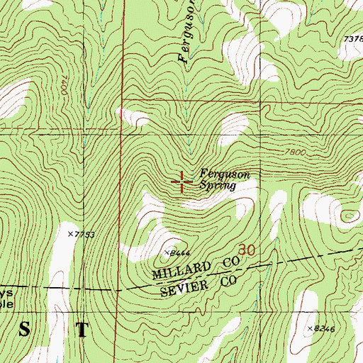 Topographic Map of Ferguson Spring, UT