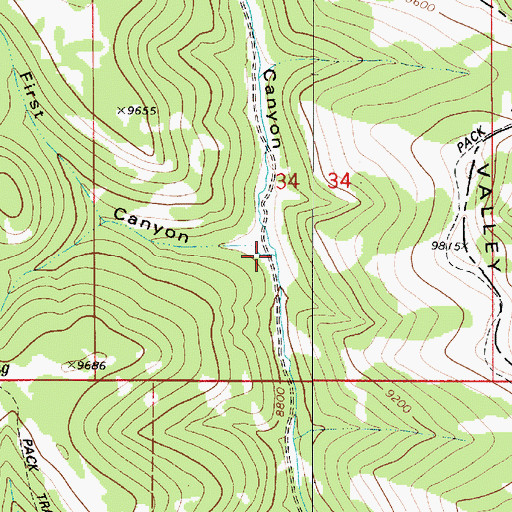 Topographic Map of First Canyon, UT