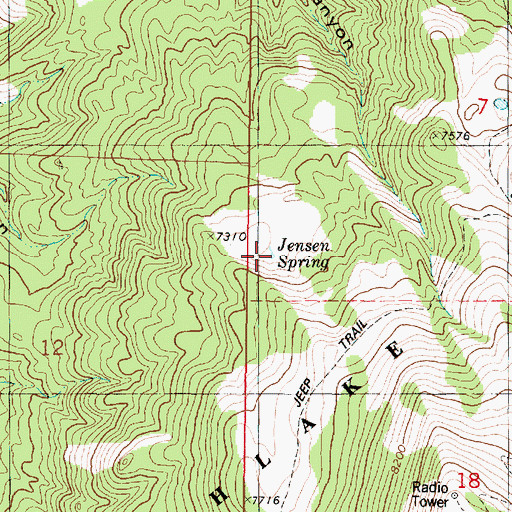 Topographic Map of Jensen Spring, UT