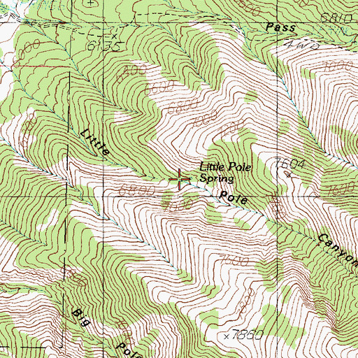 Topographic Map of Little Pole Spring, UT