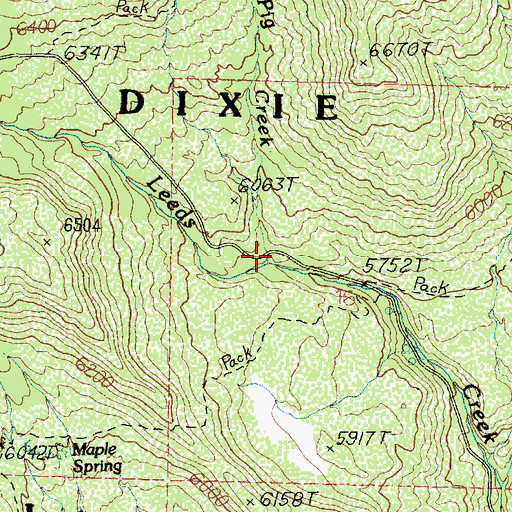 Topographic Map of Pig Creek, UT