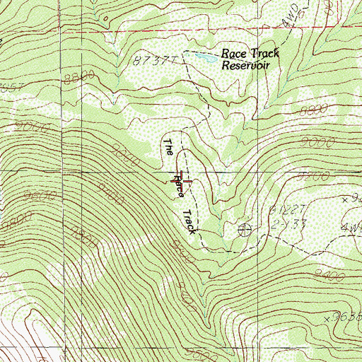 Topographic Map of The Race Track, UT
