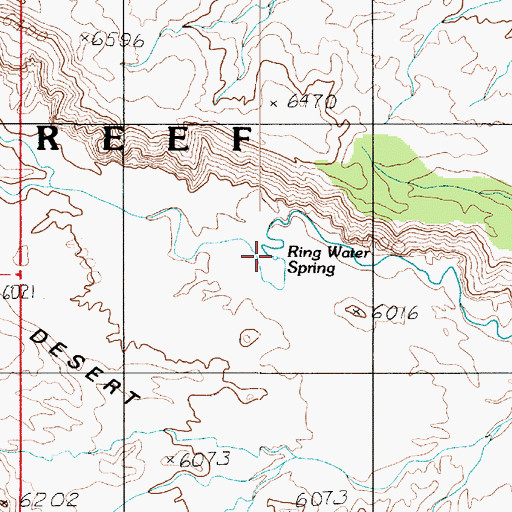 Topographic Map of Ring Water Spring, UT
